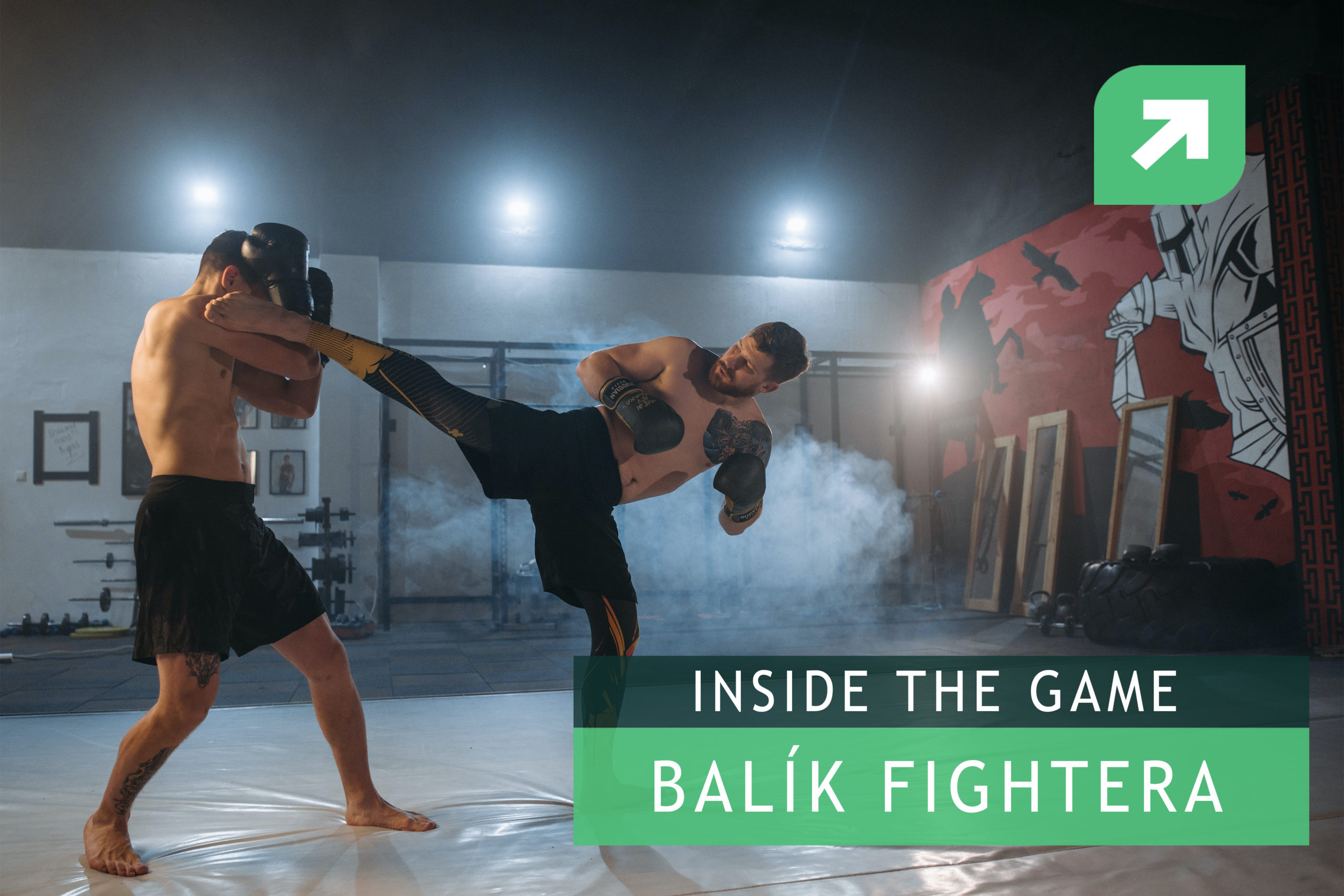 MMA Balík Fightera – Inside the Game rozhovory komentované Radekom Šefčíkom